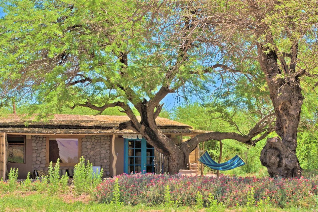 Casita La Brea Villa San Pedro de Atacama Exteriör bild